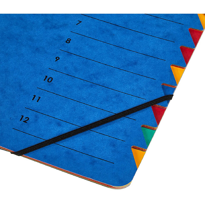Avis PAGNA Trieur 'EASY', A4, carton, 12 compartients, bleu