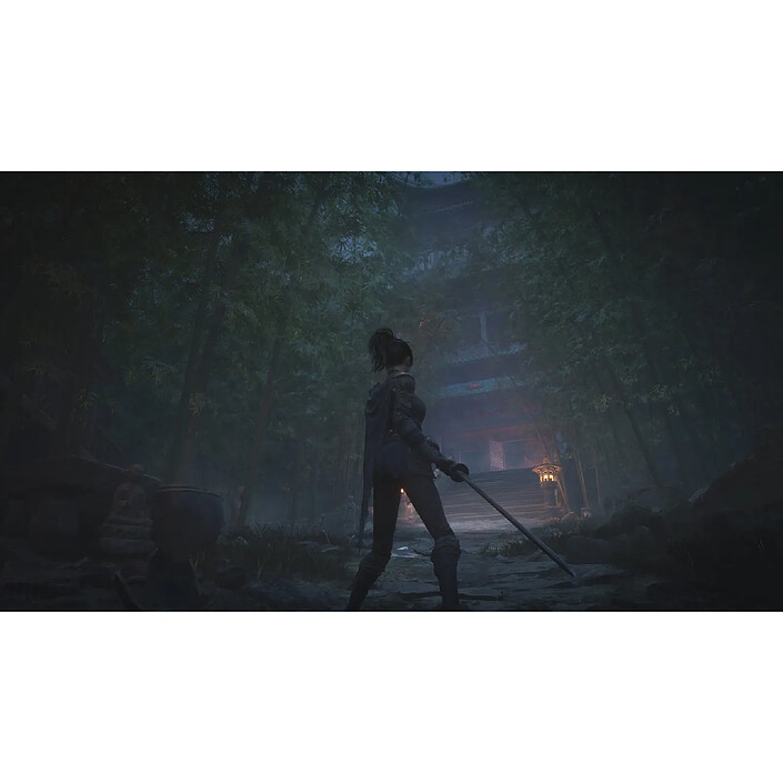 Avis WUCHANG: Fallen Feathers Standard Edition PS5