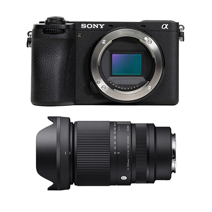 SONY ALPHA 6700 + SIGMA 16-300mm f/3.5-6.7 DC OS Contemporary