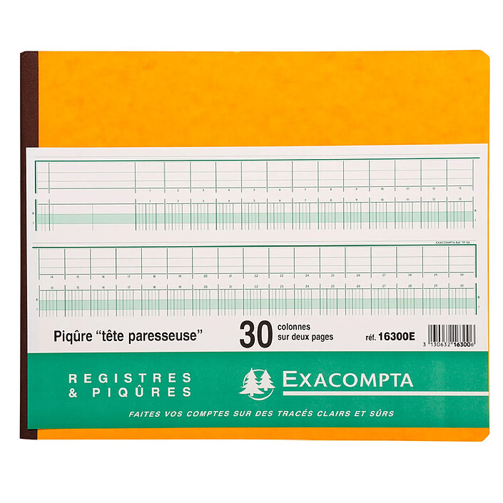 EXACOMPTA Piqûre 27x32cm à tête paresseuse 13 colonnes sur 1 page 31 lignes 80 pages x 5