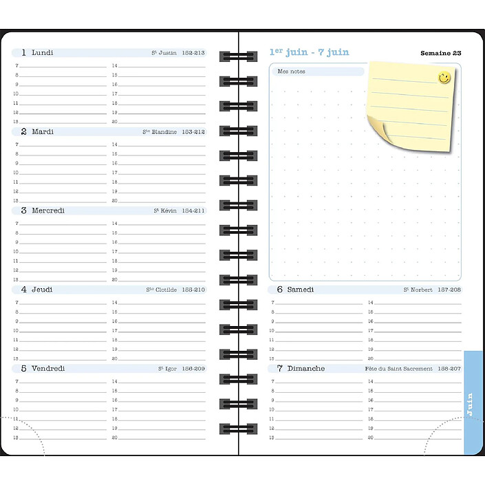 Avis EXACOMPTA Agenda de poche Lady 16S spiralé Sophie Adde 9 x16 cm Semainier 2026