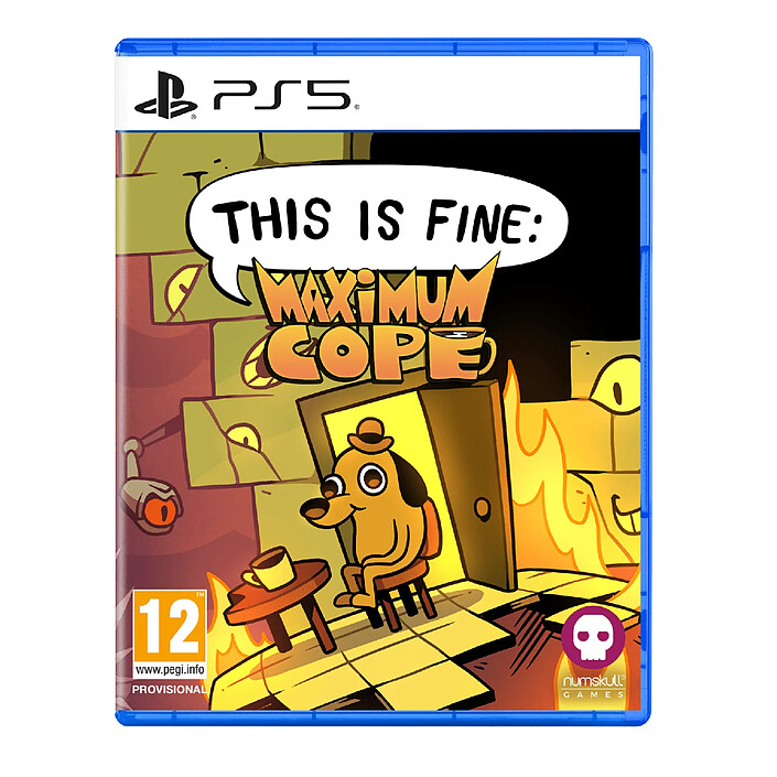 This is Fine Maximum Cope PS5