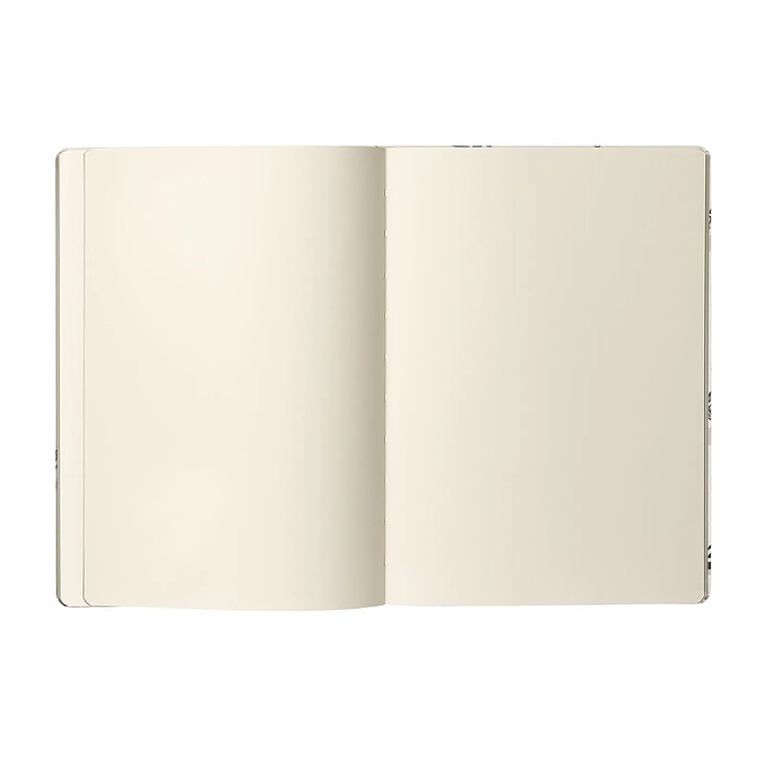 Acheter CARAN D'ACHE Carnet de croquis RYLSEE, A5, uni