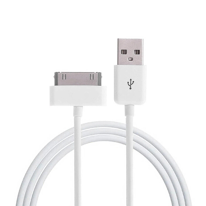 Acheter Avizar Chargeur Secteur USB-A 1A avec Câble Apple 30 broches vers USB-A 1m