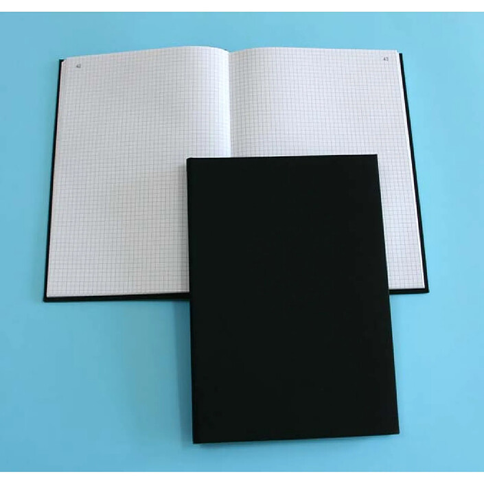 EXACOMPTA Registre 36x22,5cm 5x5cm format vertical 200p folioté