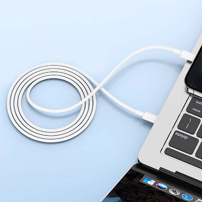 Acheter Grab 'N Go Câble USB-C vers Lightning 2m Modèle Must Havz Charge et Transfert Rapide Blanc