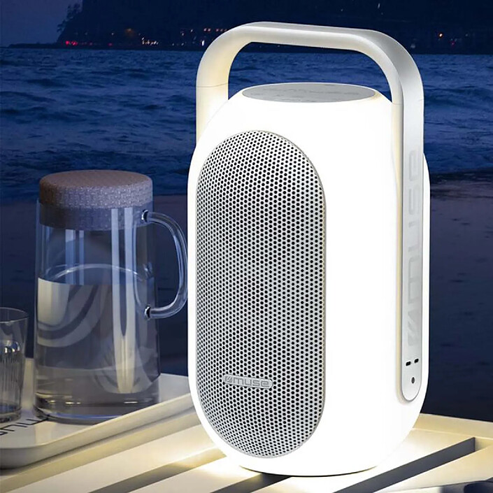 Avis Muse Enceinte Sans Fil Bluetooth NFC 60W Étanche IPX4 Portable Blanc