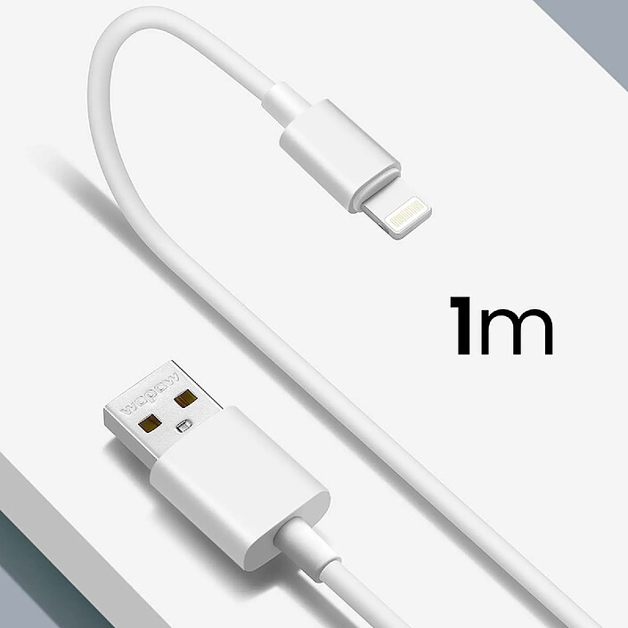 Grab 'N Go Câble USB-A vers Lightning 1m Modèle Must Havz Charge et Transfert Rapide Blanc pas cher