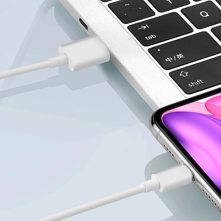 Acheter Grab 'N Go Câble USB-A vers Lightning 1m Modèle Must Havz Charge et Transfert Rapide Blanc