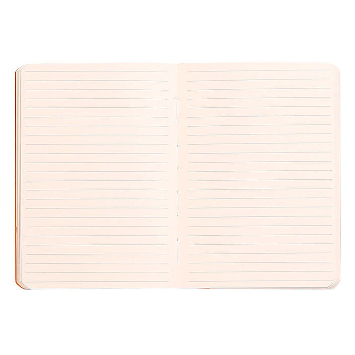 Carnet