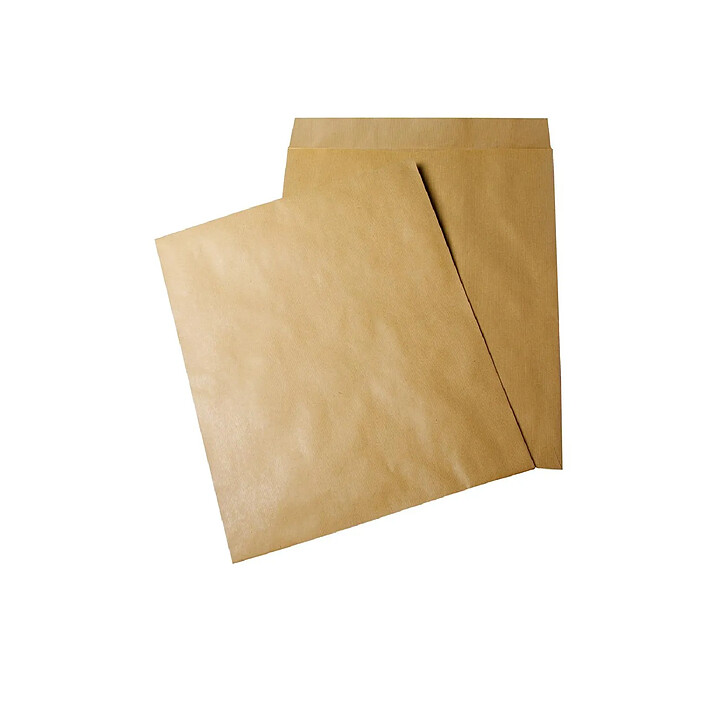 GPV Boite de 250 pochettes radio brunes 290x380 120 g