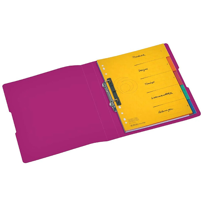 Acheter HERLITZ Classeur à anneaux easy orga to go, A4, 2 anneaux,baie opaque