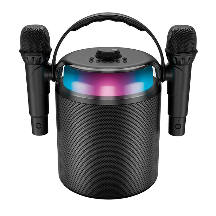 Enceinte avec 2 Microphones sans Fil de karaoké avec Karaoké Portable