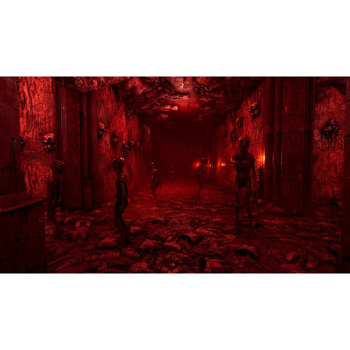 Avis Necrophosis Full Consciousness PS5