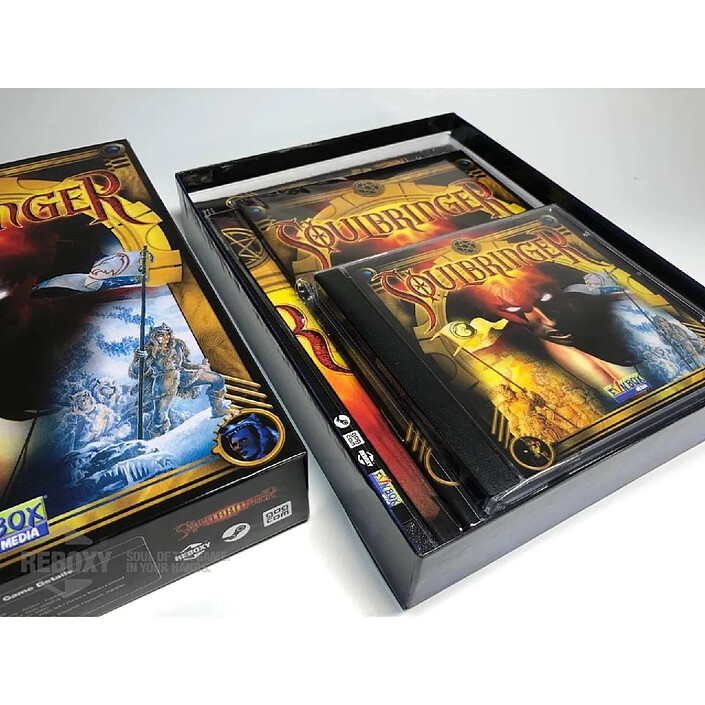 Avis Soulbringer PC Edition Reboxy Classic (CD-Rom +Steam + GOG)