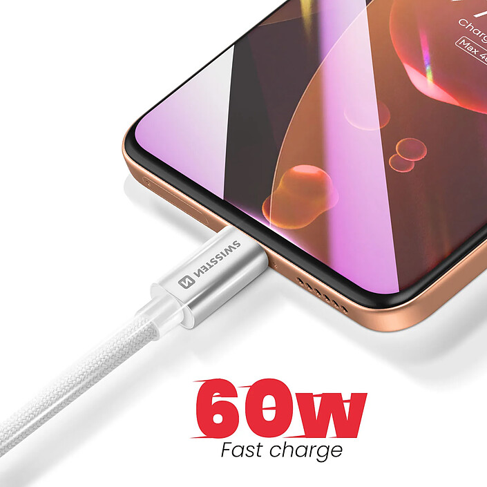 Avis Swissten Câble USB-C vers USB-C 3m 60W Universel Charge et Transfert Rapide Argent