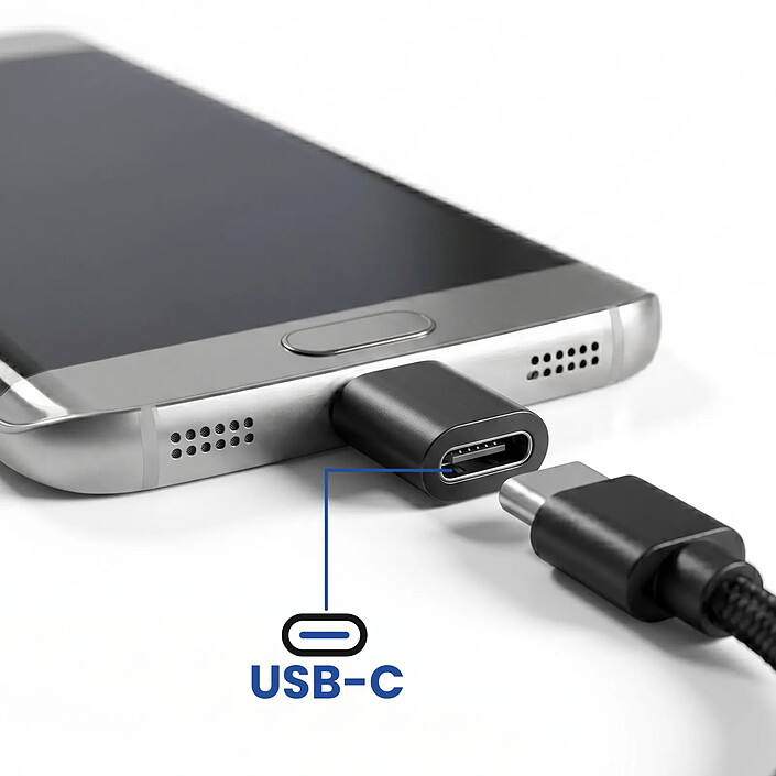 Avis Blue Star Mini Adaptateur USB-C vers Micro-USB pour Charge et Synchronisation Noir