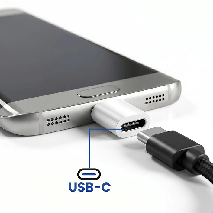 Avis Blue Star Mini Adaptateur USB-C vers Micro-USB pour Charge et Synchronisation Argent