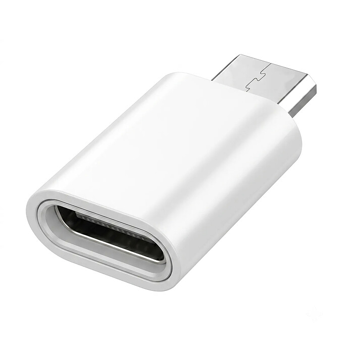 Blue Star Mini Adaptateur USB-C vers Micro-USB pour Charge et Synchronisation Argent