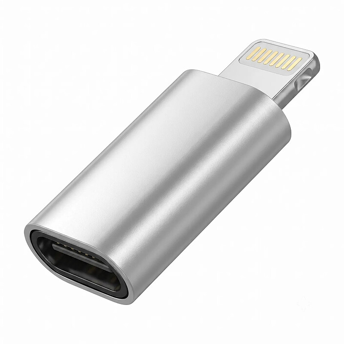Blue Star Adaptateur Convertisseur USB-C vers Lightning pour iPhone et iPad Argent