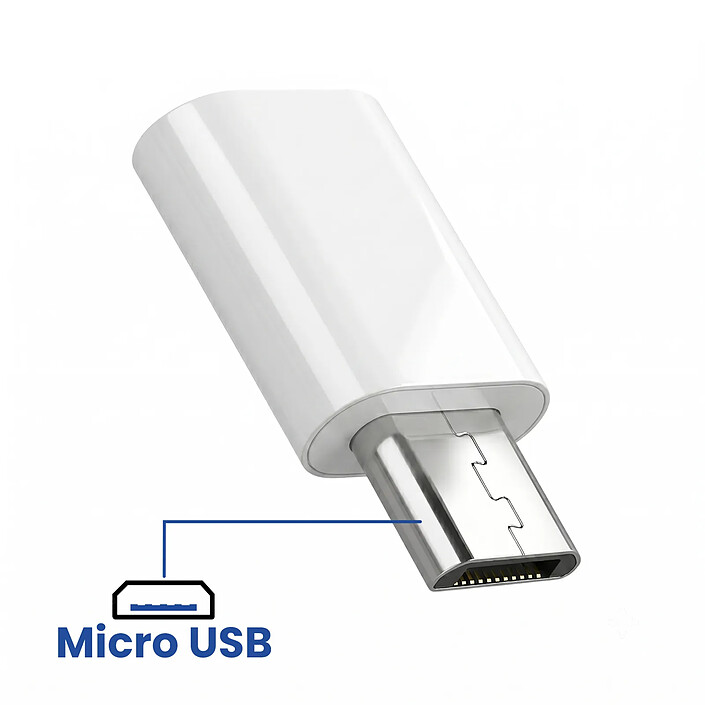 Acheter Blue Star Mini Adaptateur USB-C vers Micro-USB pour Charge et Synchronisation Argent