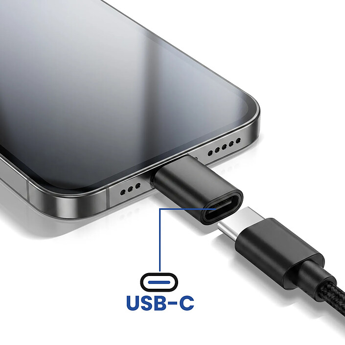 Avis Blue Star Adaptateur Convertisseur USB-C vers Lightning pour iPhone et iPad Noir
