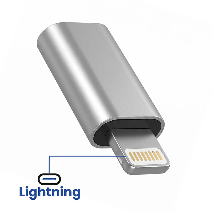 Acheter Blue Star Adaptateur Convertisseur USB-C vers Lightning pour iPhone et iPad Argent