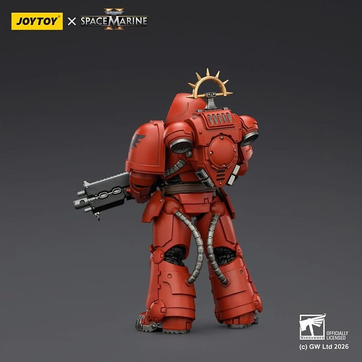 Avis Warhammer 40k - Figurine Game Edition Blood Angels Heavy Intercessor 13 cm