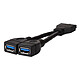 SilverStone CP09 Cable adaptador USB 3.0 interno (19 pines) a 2x USB 3.0