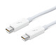 Apple Thunderbolt Cable 0.5 m · Occasion Câble Thunderbolt - 0.5 mètres - Article utilisé