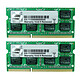 G.Skill SO-DIMM 16 Go (2 x 8 Go) DDR3 1600 MHz CL11 Kit Dual Channel 2 barrettes de RAM SO-DIMM DDR3 PC3-12800 - F3-1600C11D-16GSL