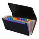 Viquel Rainbow Class Sorter 26 x 13 cm 12 compartments Sorter format chque - 26 x 13 cm - 12 compartments - plastic closure