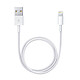 Apple Câble Lightning vers USB - 0.5 m Câble de chargement et synchronisation pour iPhone / iPad / iPod avec connecteur Lightning