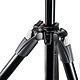 Acheter Manfrotto MK290XTA3-BH