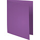 Exacompta Chemises Forever 170g Violet x 100 Lot de 100 chemises "FOLDYNE 170" en carte recyclée 170g format 24 x 32 cm violet