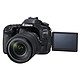 Avis Canon EOS 80D + EF-S 18-135mm f/3.5-5.6 IS USM