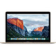 Apple MacBook 12" Or (MLHF2FN/A) Intel Core m5 (1.1 GHz) 8 Go SSD 512 Go 12" LED Wi-Fi AC/Bluetooth Webcam Mac OS X El Capitan