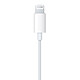 Acheter Apple Earpods Lightning (MWTY3ZM/A)