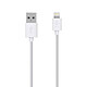 Belkin Câble Lightning vers USB 3m Câble de chargement et synchronisation pour iPhone / iPad / iPod avec connecteur Lightning certifié MFI (3m)