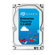 Opiniones sobre Seagate Enterprise Capacity 3.5 HDD v.5 2 To (ST2000NM0055)