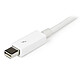 DisplayPort