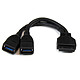 StarTech.com USB3SMBADAP6 Câble adaptateur USB 3.0 interne (20 broches) vers 2x USB 3.0 A Femelle (0.15 m)