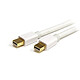 StarTech.com Câble mini DisplayPort 4K x 2K - M/M - 2 m - Blanc Câble Mini DisplayPort mâle/mâle blanc (2 mètres)