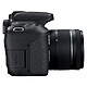 Acheter Canon EOS 77D + 18-55 IS STM