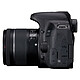 Acheter Canon EOS 800D + 18-55 IS STM
