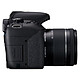 Avis Canon EOS 800D + 18-55 IS STM