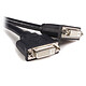 Avis StarTech.com Câble LFH/DMS 59 vers 2 x DVI - M/F - 20 cm