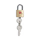 Brass padlock 22 mm Padlock with 2 brass keys in accordance with TSA standard