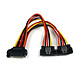 StarTech.com Câble répartiteur en Y d'alimentation SATA vers 2x SATA avec verrouillage - 15 cm Dédoubleur d'alimentation SATA - 15 cm