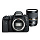 Canon EOS 6D Mark II + Tamron SP 24-70 mm f/2.8 Di VC USD G2 Canon
